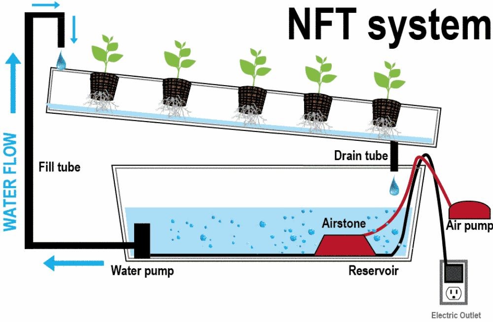 Mô hình NFT (Nutrient Film Technique)